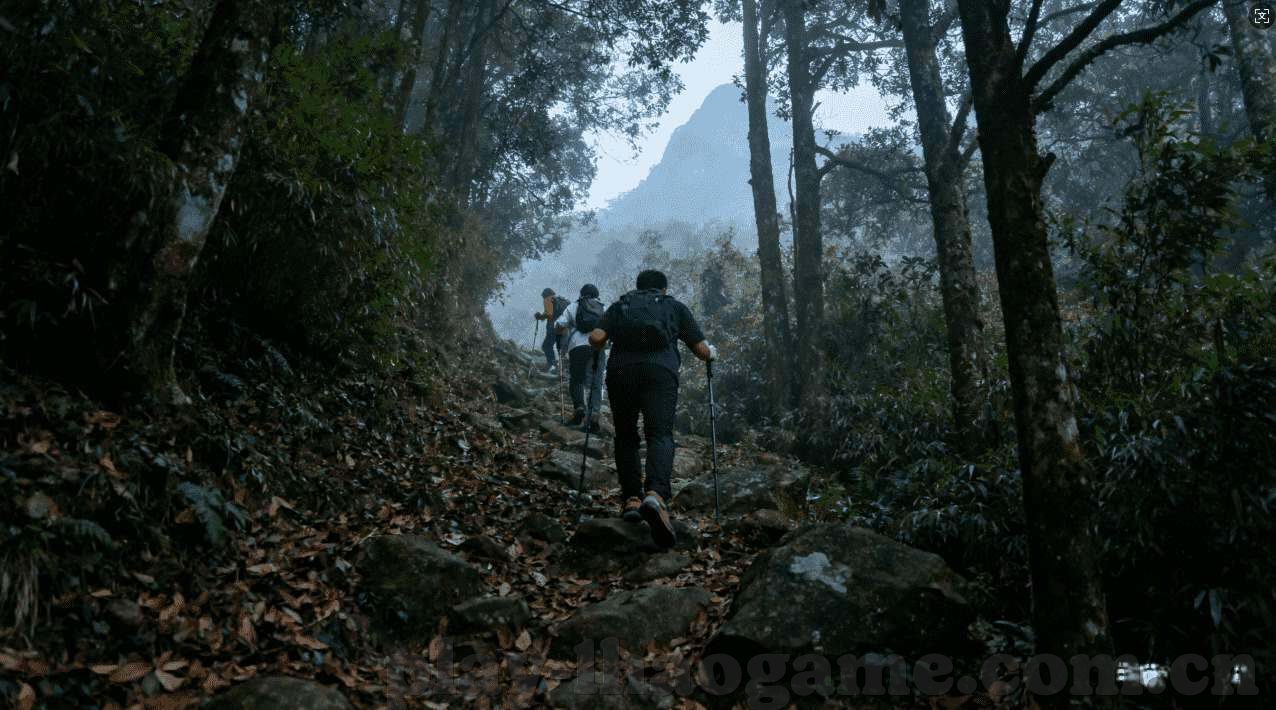 乐鱼体育是什么公司-乐鱼体育——一个致力于创新与卓越的综合体育服务平台