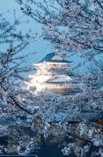 外围足球比分直播-外围足球比分直播，实时追踪绿茵激情，畅享全球赛事盛宴