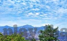 足球即时比分哪儿-探寻足球即时比分的多元渠道与魅力